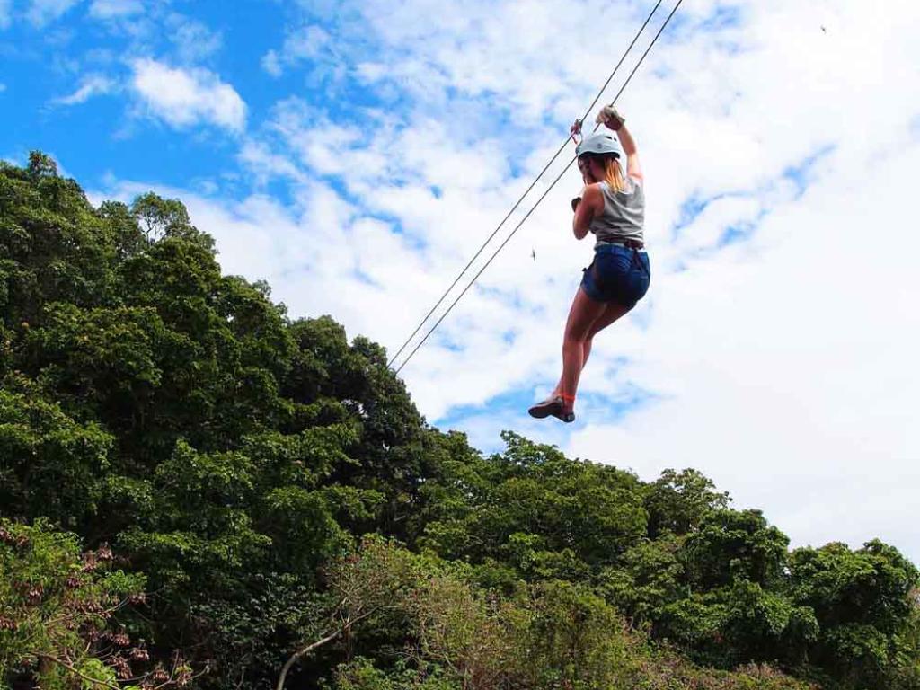 Momi Zipline